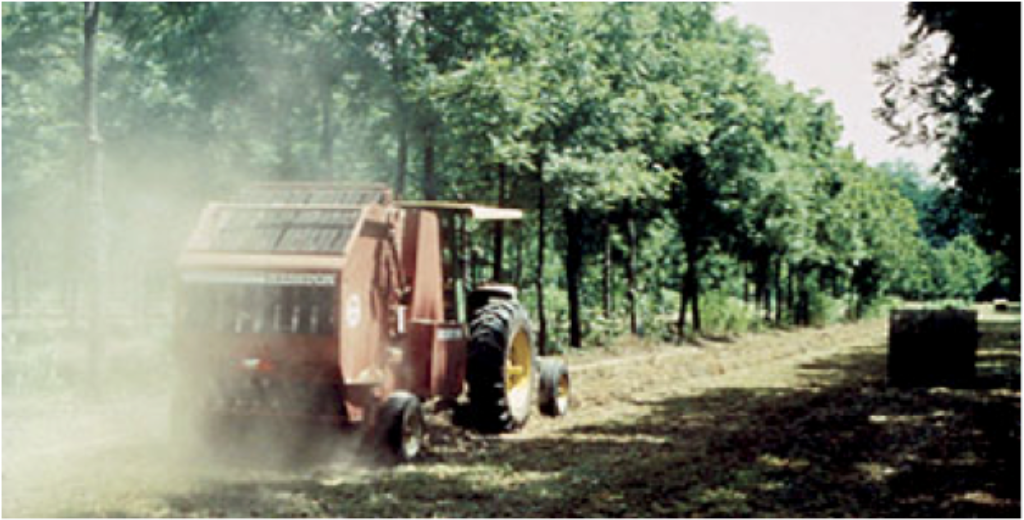 Wilhelm Farm Agroforestry